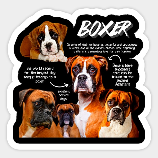 Boxer Dog Fun Facts Sticker by Animal Facts and Trivias